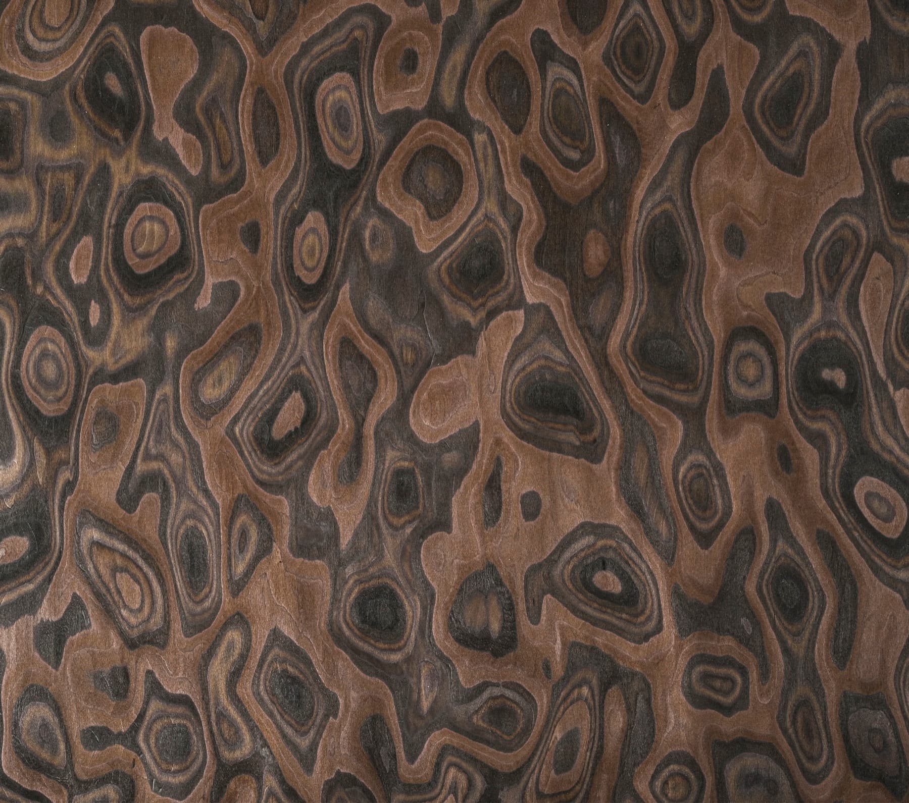 Burl industrial veneer texture detail