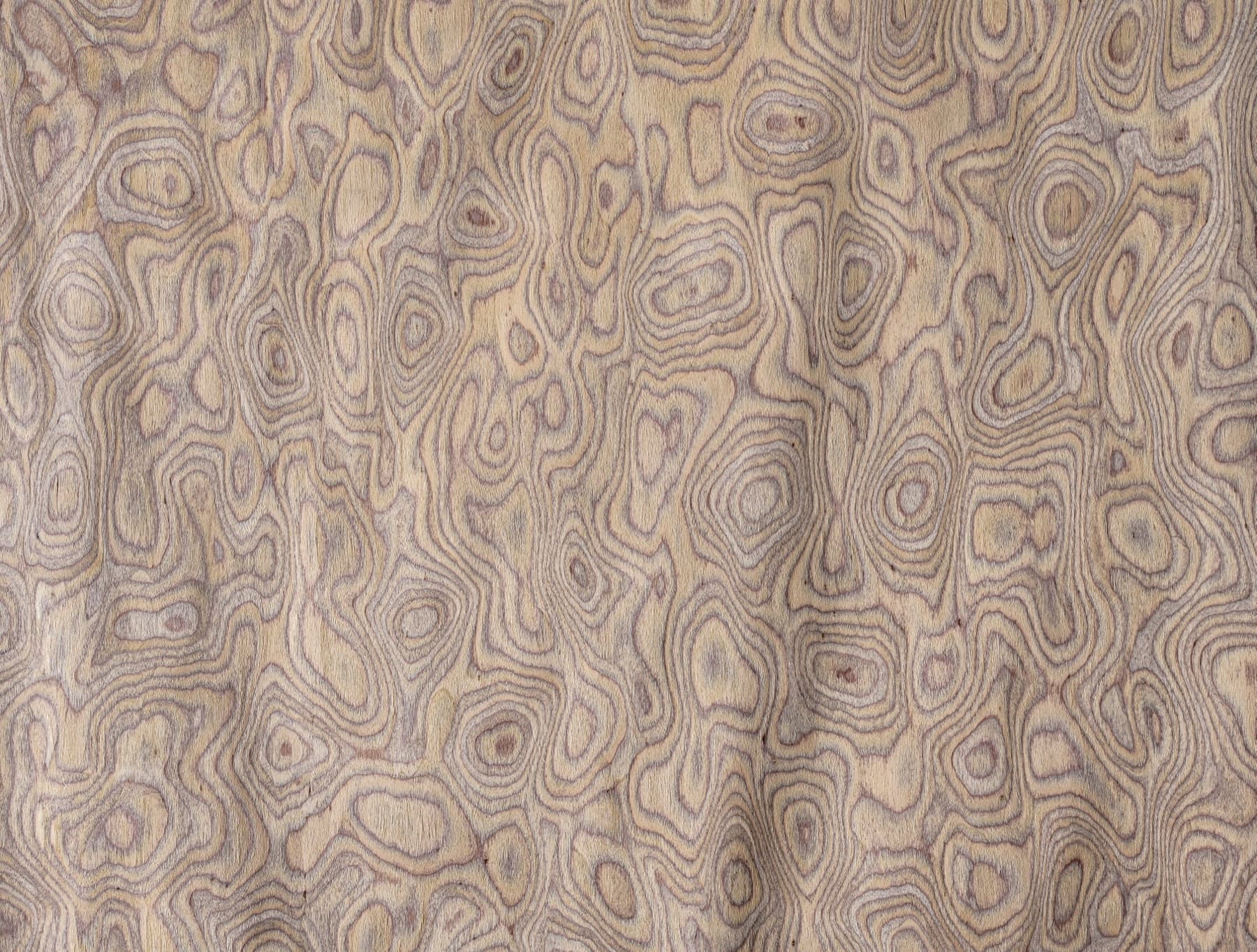 Burl industrial veneer texture detail