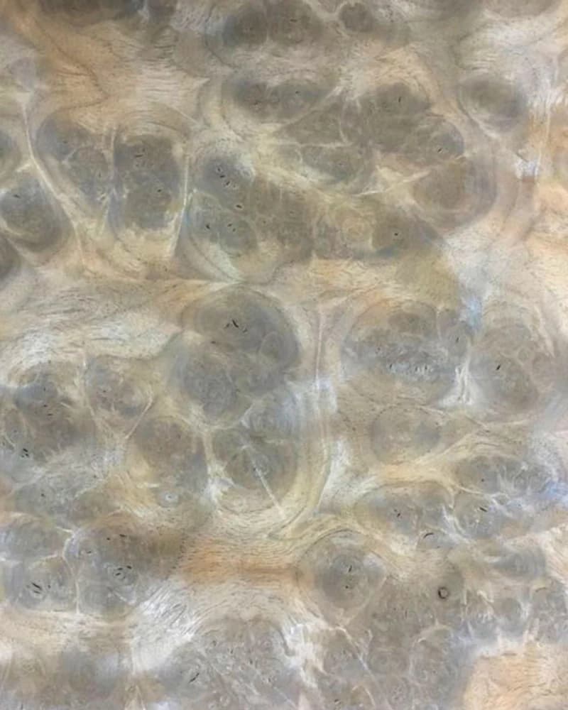 European Walnut Root natural veneer texture detail