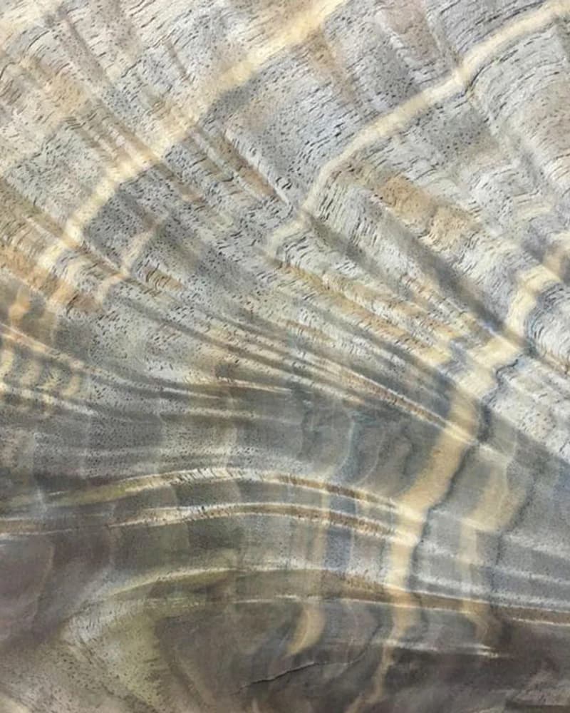 Walnut Pyramid natural veneer texture detail