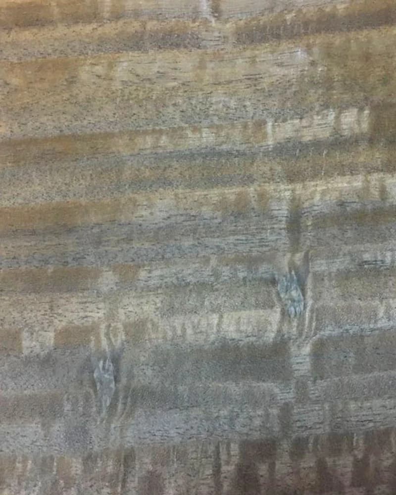 Smoked Eucalyptus natural veneer texture detail