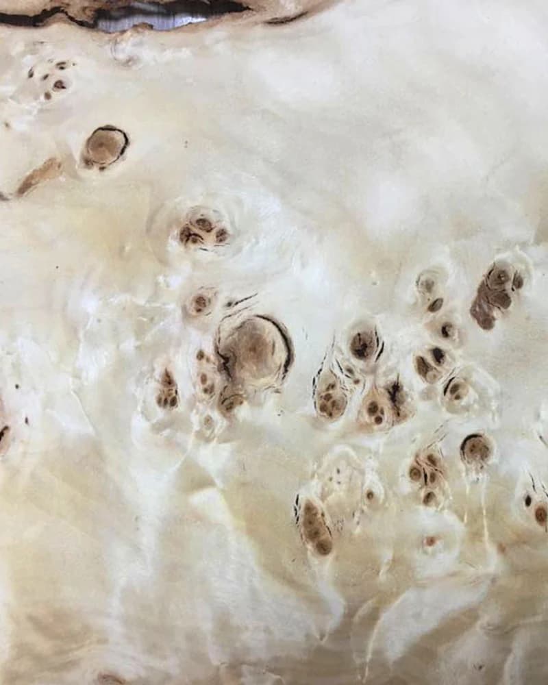 Mazel Root natural veneer texture detail
