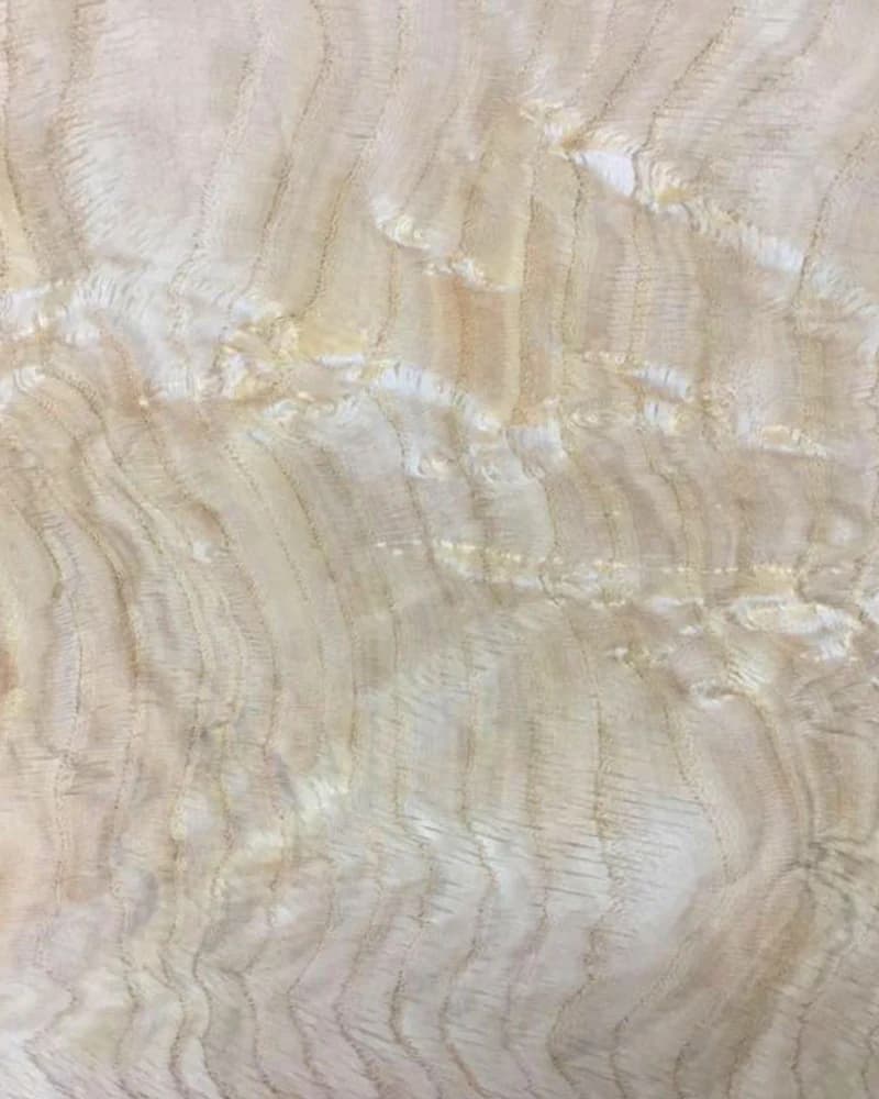 Oak Pyramid natural veneer texture detail