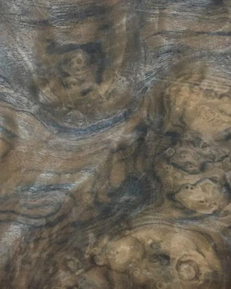 Amerikan Ceviz Kök doğal kaplama doku detayı